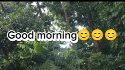 Good morning july