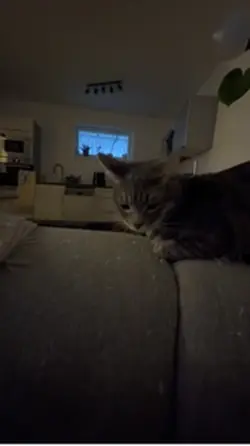 heeheh 