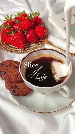 SLICE OF LIFE