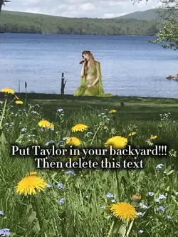 Ts at my cottage??!!