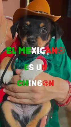 MEXICO ES UN CHINGON