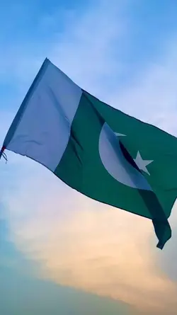 New Trend 14 august