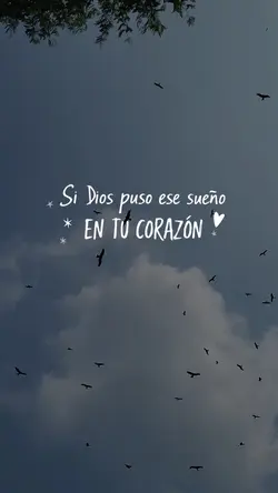 Sueños🪽💫🤍