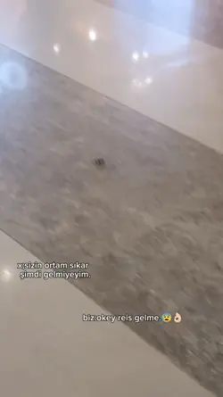 kesin linç yicem