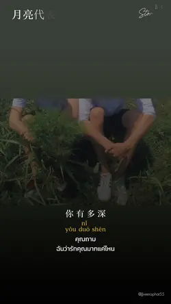 月亮代表我的心 เพลงจีน