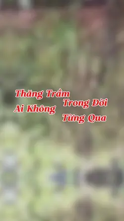 Thăng trầm trong đời