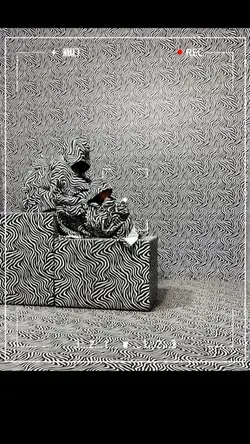 The called it zebra