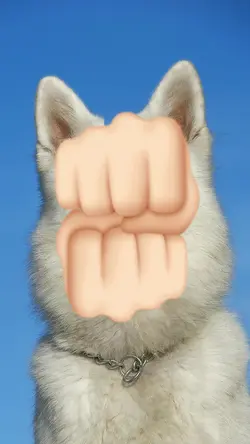 Lovely animals 