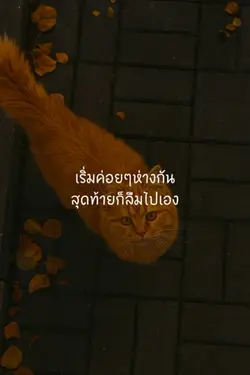 ค่อยๆห่างกันสุดท้ายก็ลืม