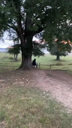 🏇💞 
