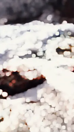 slowmo velocity