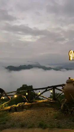 sắn mây
