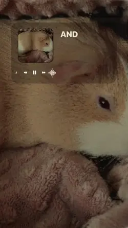 <3