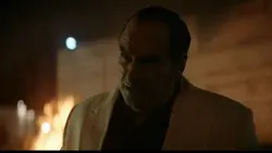 penguin on tictok 