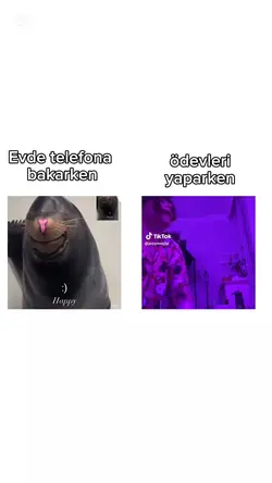bunaldim