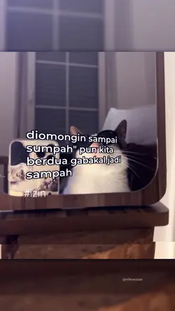 JJ KECE BERDUA
