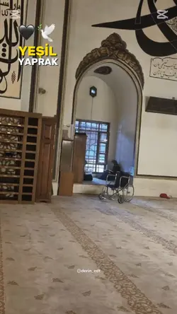 Darı Dünya 