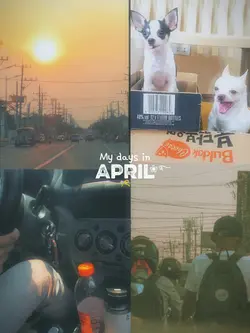 My April