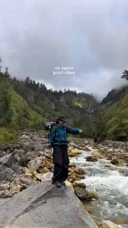 no signal vibes