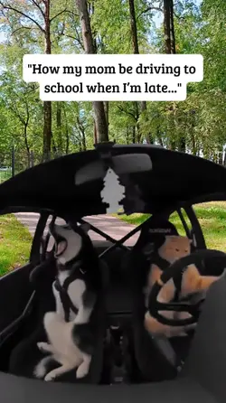 mom driving