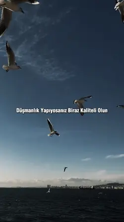 Racon sozlerim