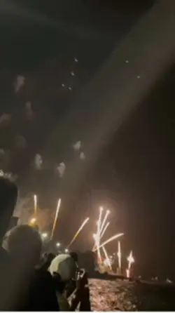 洋蔥
