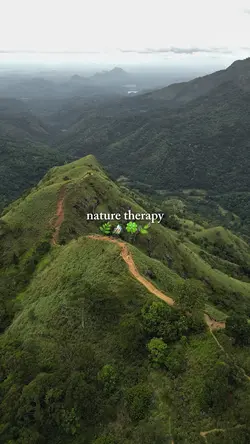 Nature therapy