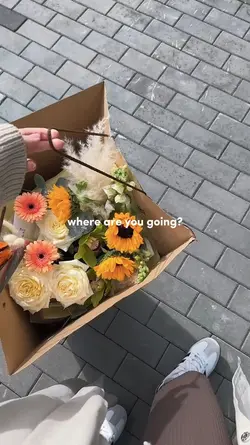 where are you going?