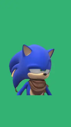 sonic nosies 