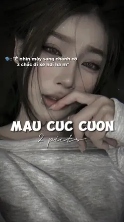TREND SANG TRẤN TÂM