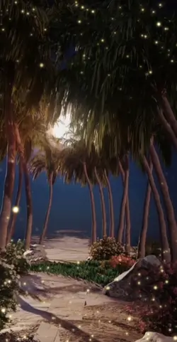 Hawai Top Klip