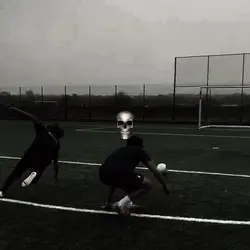 Freeze Edit 1:1