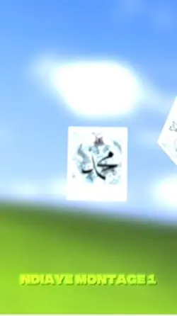 Gamou vid. 08