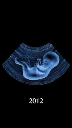 2012 x 2025