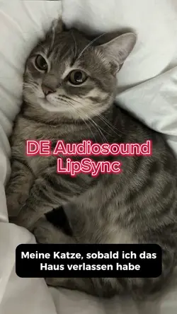 😺😺😺