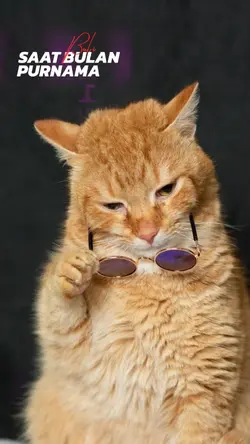 salam rindu