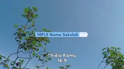 Vlog MPLS