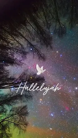Hallelujah 👼🏼🎵