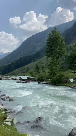 Nature Therapy