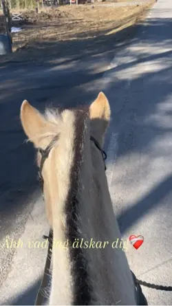 hearthorse