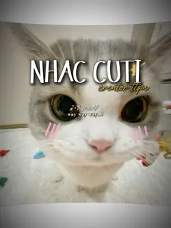 mẫu nhiều ảnh cute