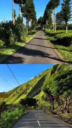 2 video 1 frame