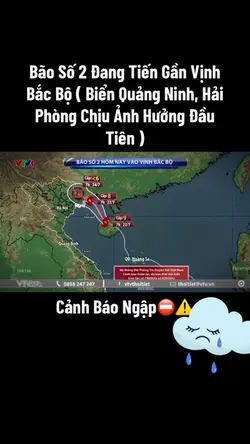 Mẫu 1 ảnh