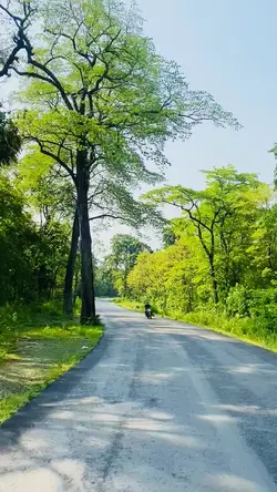 Ekanta lines
