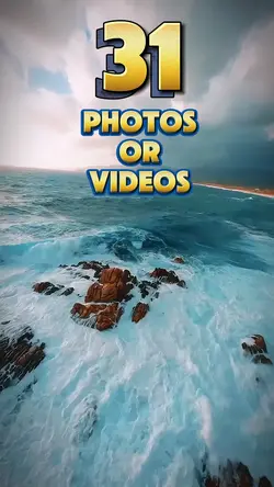 31 photos or videos 