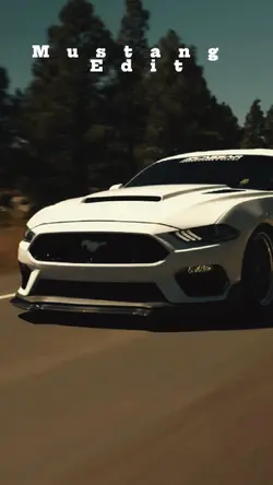 Mustang 