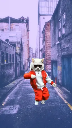 Dancing cat