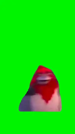 funny meme