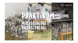 Introo