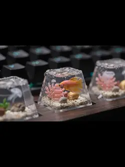 fish in a block box